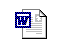 Word Doc